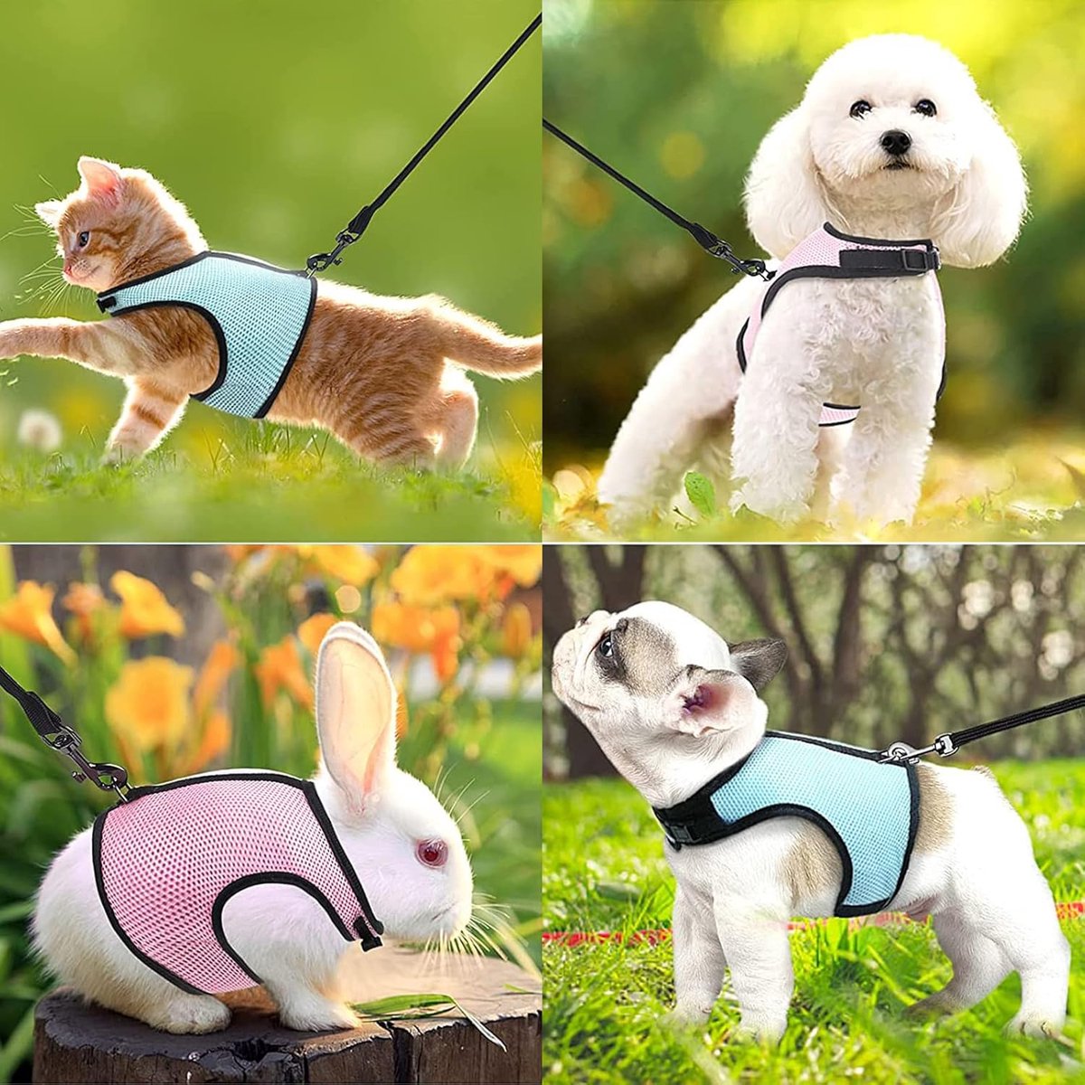 Ham pentru animale de companie,Roz,Albastru set cu lesa, Set de 2 bucati