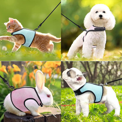 Ham pentru animale de companie,Roz,Albastru set cu lesa, Set de 2 bucati