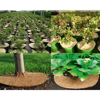 Set 6 Discuri, Fibra de cocos, Pentru protectia plantelor,26cm